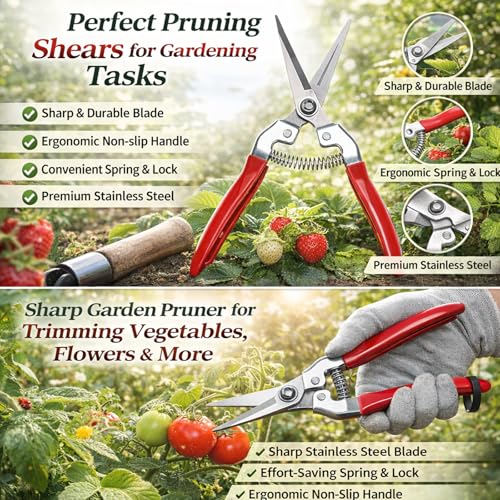 Stainless Steel Straight Pruning Shears for Rose Gardening Plant Trimming and Fruit Harvesting Durable Ergonomic Hand Pruners Garden Yard Tool