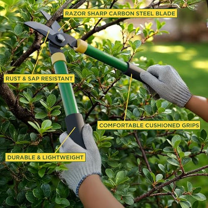 Miracle-Gro 15 in. Bypass Lopper for Tree Branch Trimming and Pruning – Heavy-Duty Branch Cutter with Ultra-Sharp Carbon Steel Blade, 1 in. Cutting Capacity and Comfort Grip Handles - style: Bypass Lopper 15"