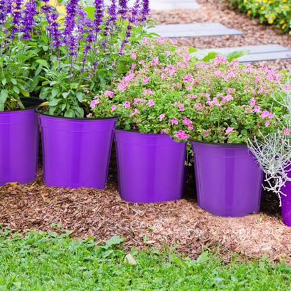 Havawish 150 Pcs 4 Inch Nursery Pots with Drainage Holes, Purple - color: Purple
