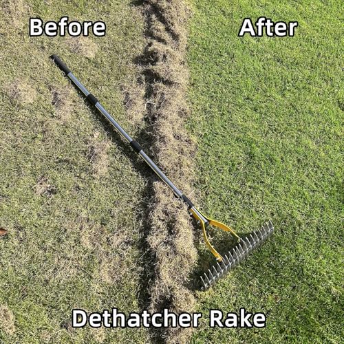 Thatch Rake, Dethatcher Rake for Grass to Cleaning Dead Grass