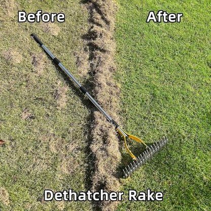 Thatch Rake, Dethatcher Rake for Grass to Cleaning Dead Grass