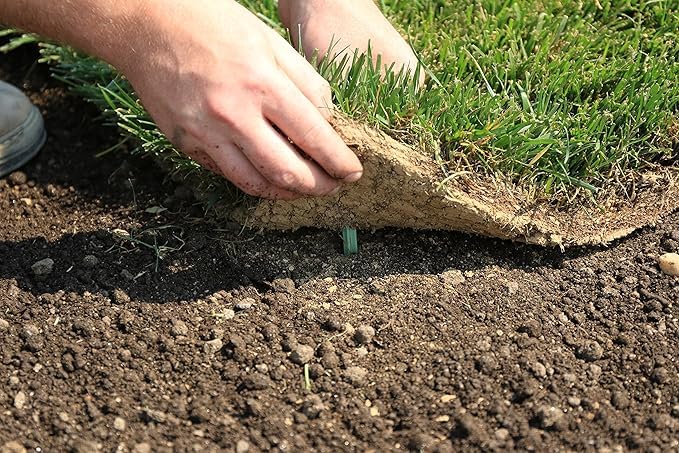 Pack of 50 - GreenStake 4-Inch Biodegradable Garden Stakes, Superior Holding Power - Eco-Friendly Garden Support Pegs & Fabric Pins for Membrane, Netting, Turf, Landscaping and Gardening
