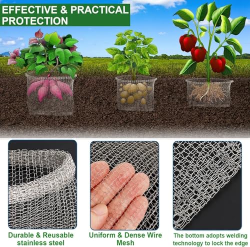 5 Pcs Go-pher Baskets 3 Gallon, Stainless Steel Plant Root Guard Basket