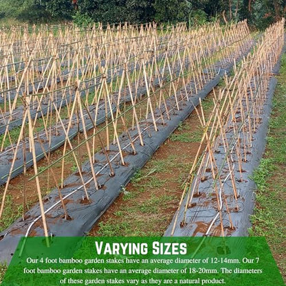 Farm Plastic Supply - Bamboo Garden Stakes - Bambo Sticks, Bamboo Plant Stakes for Outdoor Plants, Plant Support Stakes for Indoor Plants (7 Foot, 5) - style: 7 Foot