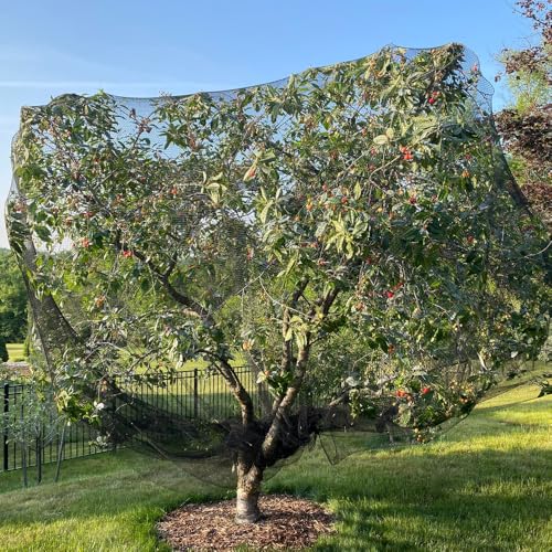 Bird Netting for Chicken Coop 15x15 Ft, 1/2" Mesh Aviary Netting - size: 15x15Ft-1/2"