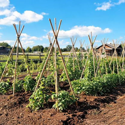 Natural Bamboo Plant Stake (Approx 8ft 10pcs 1") Sturdy Bamboo Poles, Durable Plant Bamboo Stake, Garden Climbing Plant Bracket. - size: 93in-10PCS