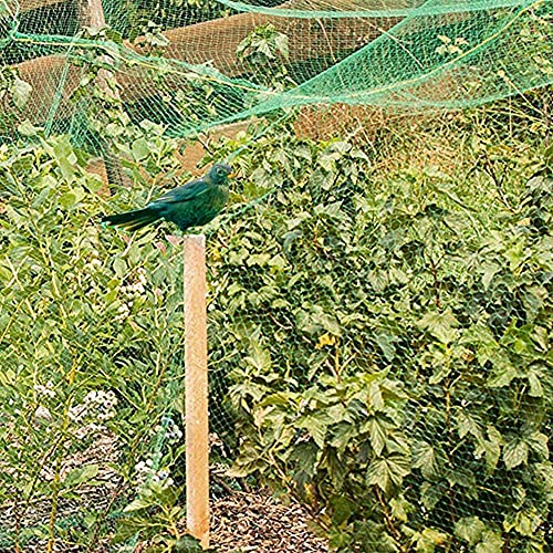 16 x 33ft Garden Netting, Bird Netting Strawberries Cover for Plants, Fruit, Vegetables,Seedlings with 100 PCS of Zip Ties - size: 1pack16x33ft