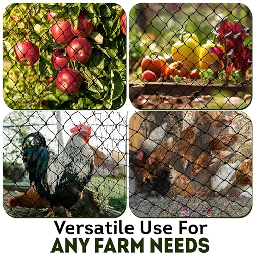 Heavy Duty Bird Netting for Chicken Coops & Runs | Keep Hawks, Birds & Predators Away | Hawk Netting 1.5 mm Thickness - Mesh 2"x2" | Aviary Net 50 x 100 ft (25 x 100 ft) - size: 25 x 100 ft