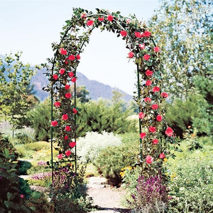Metal Pergola Arbor, 4.6 ft W x7.9 ft High,Assemble Freely Light Weight - color: Green