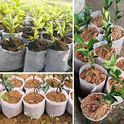 Belit Large Non-Woven Plant Nursery Bags, 25 Pcs Grow Bags Seedling Pots Container for Tree,Vegetable, Flower, Plant Grow (13.2"x15") - size: 25 Pcs 13.2"x15"