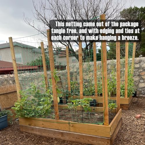 Trellis Netting, Heavy-Duty Garden Grow Netting for Climbing Plants, Outdoor Indoor Net for Cucumber, Tomatoes, Beans, Clematis, Fruits & Vegetables, Climbing Vining Plants (32.8' x 6.6'Ft) - size: 32.8' x 6.6'Ft