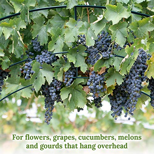 Multi-Size Large Garden Support Arch Frame Climbing Plant Arch Arbor for Flowers/Fruits/Vegetables (13FT x 7FT x 7.2FT) - size: 13 ft x 7 ft x 7.2 ft