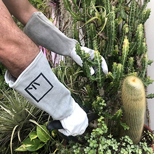 ArtAK Rose Gardening Gloves, White, Large, Leather, Cut Proof, Water Resistant, Reusable, 16 inches Long, 7.75 inches Wide, 1.25 inches High - size: Large White