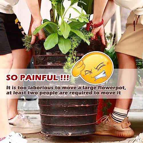 5 Pack Plant Caddy with Wheels Heavy Duty 12 Inches Metal Plant Stand with Wheels Plant dolly Rolling Plant Stand Plant Roller with Casters for Indoor and Outdoor with Plant Saucers, Bronze - color: bronze, size: 11.8''