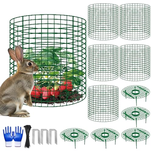 5 Sets Strawberry Plant Support with Wire Plant Protectors, 12.9"x 11.8" Wire Plant Cages and Strawberry Growing Racks, Animal Protection for Strawberry Tomato Garden Vegetables Plants