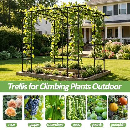 Grape Vine Trellis,Heavy Duty Metal Plant Support Trellis-113L*81W*96H in - size: 112.8（L）*80.4(W)*96(H) in