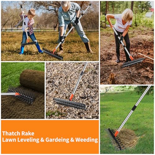 2-in-1 Thatch Rake with Dual Different Tines - Dethatcher Rake for Lawns, Versatile Lawn Rake for Thatch Removal and Soil Care, Heavy Duty Garden Rake Includes Reusable Waste Bag & Gloves