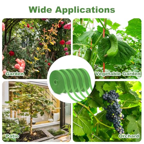 5 Rolls 165 Ft Green Plant Tape for Climbing Plants, 1/2 Inch Reusable Plant Stretch Ties, Adjustable Tomato Plant Supports, Plant Twist Ties for Gardening, Home, Office