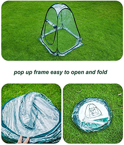 porayhut Pop Up Greenhouse Cover ,Pack of 2 Pcs,Flower House Mini Gardening Plant Flower Sunshine Room Room,Backyard PVC Greenhouse Cover for Cold Frost Protector Gardening Plants - style: 2 Pcs Pear Shape Plant Cover