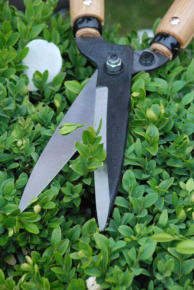okatsune trimming shears type 55 - style: Type 55