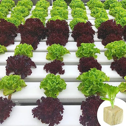 Halatool 1 Inch Rockwool Cubes for Hydroponics, 300 Plugs Seed Starter Cube - color: 6 Sheets, size: 1" Cubes