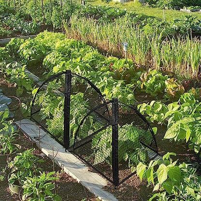 Strawberry Plant Protector,22 x22 x 22 Inch Cloche Dome for Plants