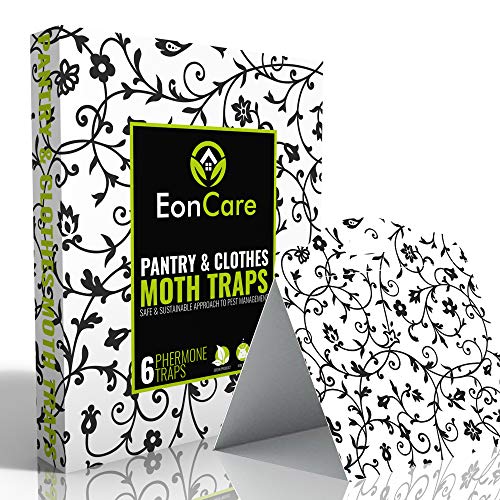 Pantry & Clothes Moth Traps | Dual Action Formula Captures More Types of Moths | Safe & Natural | 6 Pack | New & Improved 2020