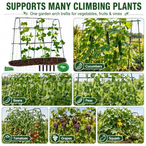 63x63 Cucumber Trellis for Raised Garden Bed, Black - size: 63" x 16" x 63"