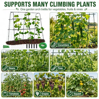 63x63 Cucumber Trellis for Raised Garden Bed, Black - size: 63" x 16" x 63"