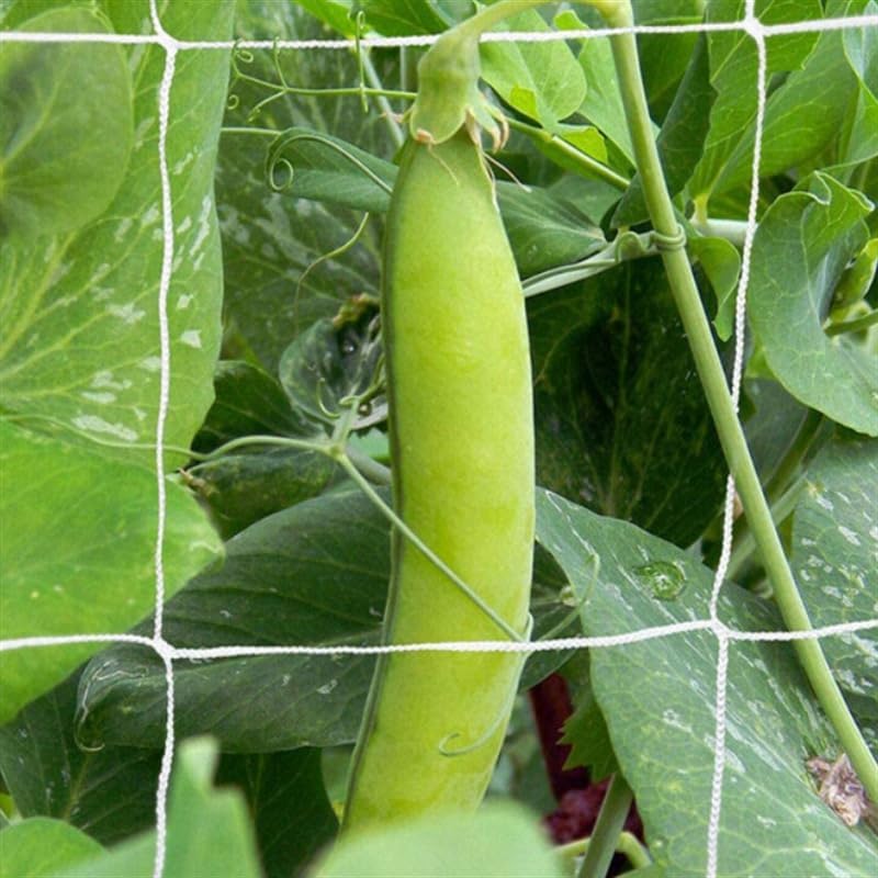 Polyester Trellis Netting Garden Plant Climbing Support Mesh for Vine Vegetables and Flowers