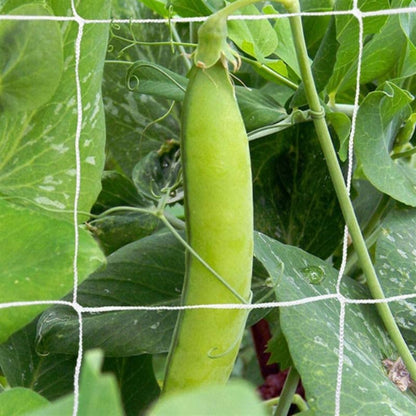 Polyester Trellis Netting Garden Plant Climbing Support Mesh for Vine Vegetables and Flowers
