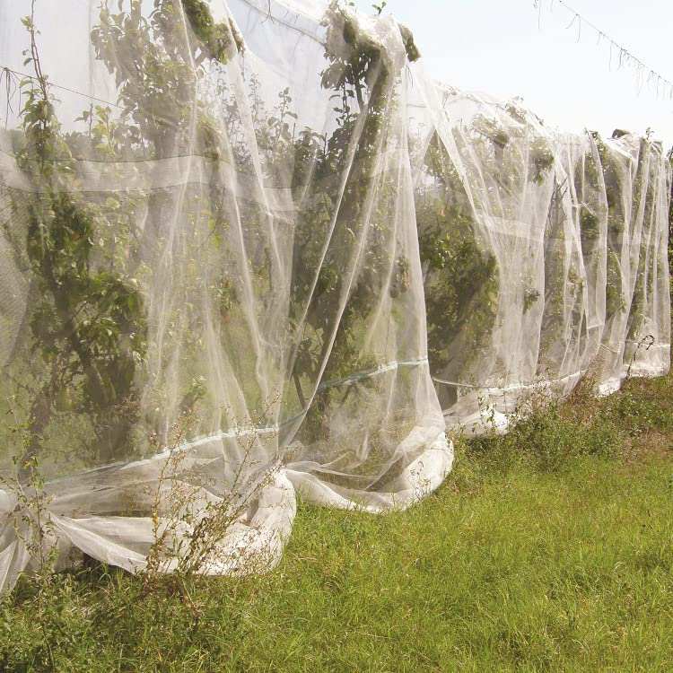 Fine Mesh Garden Netting for Protection, 8'x33' Vegetable Crop Covers Netting for Protect Fruits, Plants, Flowers, Greenhouse Cover Net, Patio Gazebo Screen Barrier - color: 8ft X33 Ft