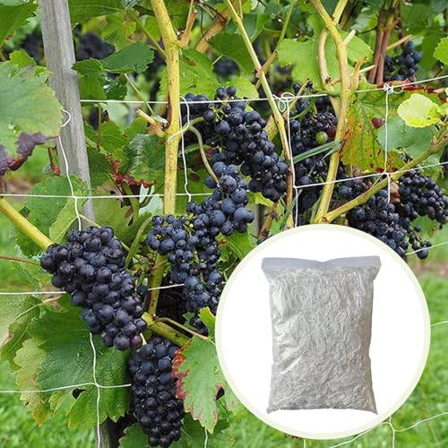 2-Pack Plant Trellis Netting – 5 x 15 ft Polyester Mesh for Climbing Plants, Vegetables, Fruits, and Indoor Grow Tents