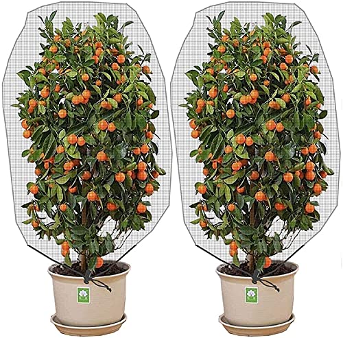 Alpurple 2 Pcs Insect Bird Barrier Netting Mesh with Drawstring- 4.9 x 3.2 Ft Garden Bug Netting Plant Cover- Fruit Tree Net for Protect Plant Fruits Citrus Flower from Insect Bird Eating