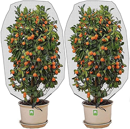 Alpurple 2 Pcs Insect Bird Barrier Netting Mesh with Drawstring- 4.9 x 3.2 Ft Garden Bug Netting Plant Cover- Fruit Tree Net for Protect Plant Fruits Citrus Flower from Insect Bird Eating - color: 2 Pcs, size: 4.9x3.2 ft
