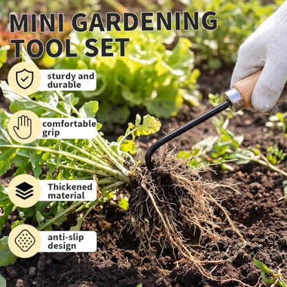 Bonsai Tools, Bonsai Root Rake, Small Root Hook,Rake Pic for Soil Loosening - size: 2 Pack
