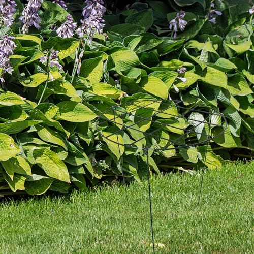 2 Pack Round Peony Cages and Supports Grow Through Plant Supports Ring Hoop,24 inch Plant Support Stake with 3 Legs for Potted Plant Tomato, Rose (24inch)