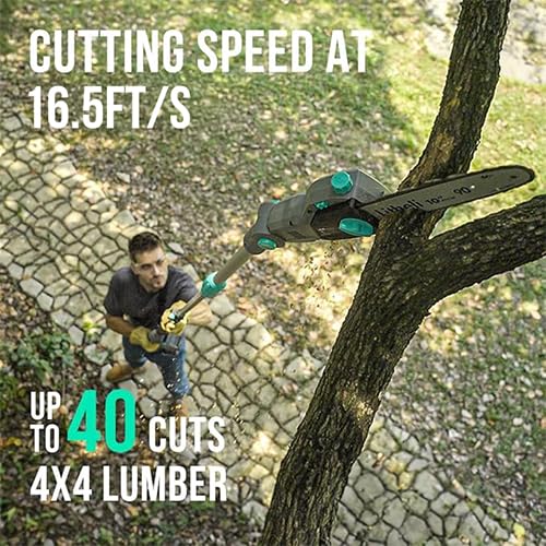 Litheli 40V PoleSaw Cordless, 10 Inch Battery Pole Saws for Tree Trimming, Electric Pole Chainsaw with 2.5Ah Battery & Charger, Oiling System, 8.3 LB Lightweight, 16 FT/S Cutting Speed Power Pole Saw - color: Green