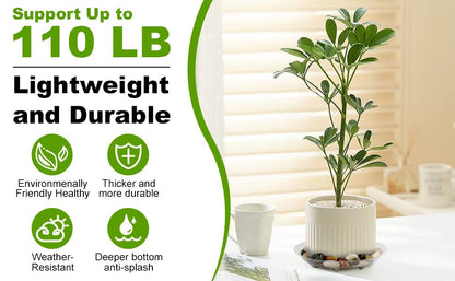6 Pack 12 Inch Heavy Duty Clear Plastic Plant Saucer Sturdy Pot Tray Plant Drip Trays for pots,Plant Water Catcher Tray,Flower Pot Saucer Water Drainage Tray Floor Protector (12 Inch) - size: 12 inch