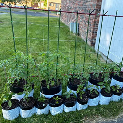 Garden Plant Stakes, 48 Inch 4Ft Steel Tomato Stakes, 25 Pack - size: 48 Inch