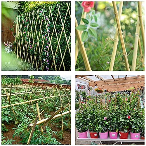 Cambaverd Bamboo Stakes 6 Feet, Tall Garden Stakes, 20 Pack Bamboo Poles - size: 6 FT-20 PACK