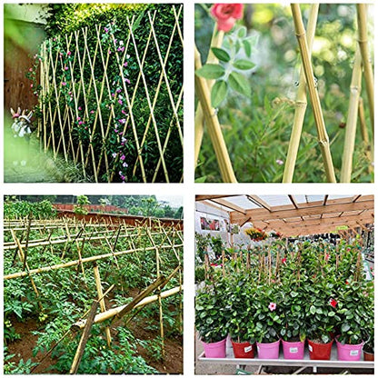 Cambaverd Bamboo Stakes 6 Feet, Tall Garden Stakes, 20 Pack Bamboo Poles - size: 6 FT-20 PACK