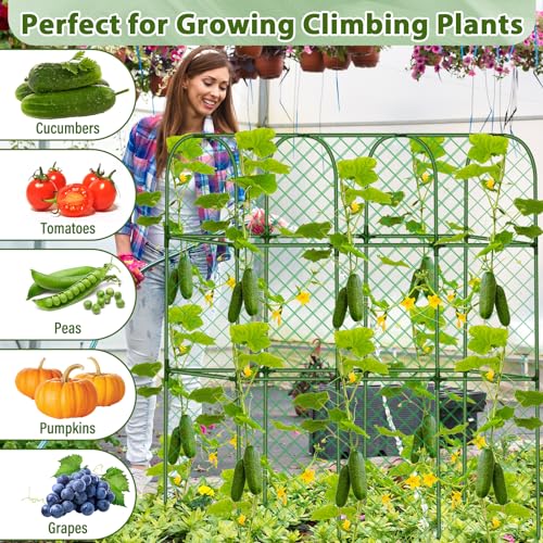 Cucumber Trellis for Garden, Upgrade U-Shaped Metal Garden Trellis Plant Grow Support Frame for Climbing Plants Vegetable Flower Fruits Vine Raised Bed with Netting, Instruction, Garden Tools, Green - color: U-Frame 49.2'' (H) X 49.6'' (L)