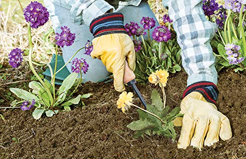 AMES 2447000 Tempered Steel Hand Weeder with Wood Handle, 12-Inch - style: Wood Handle Hand Weeder