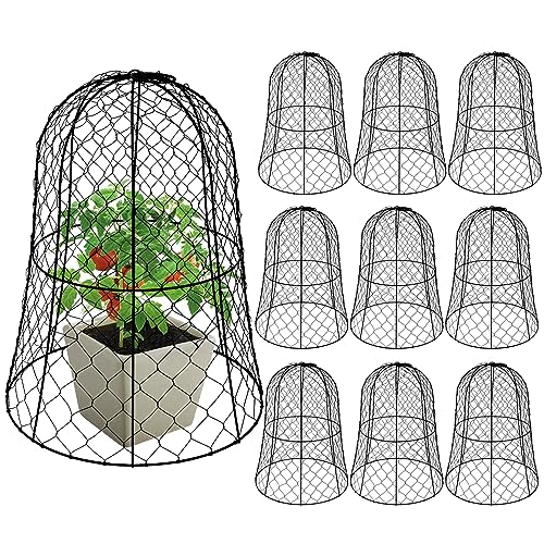 DouSeiAi 10 Packs Garden Chicken Wire Cloche, 13''×15.7'' Plant Covers from Animals, Plant Protector Cover Cage for Garden Vegetable Patch, Black - color: Black, size: 10 Pcs