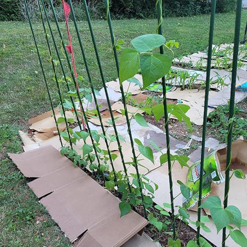 Garden Stakes, 57 Inch (Approx 5Ft) Steel Tomato Plant Stakes, 20 Pack - size: 57 Inch-20 Pack