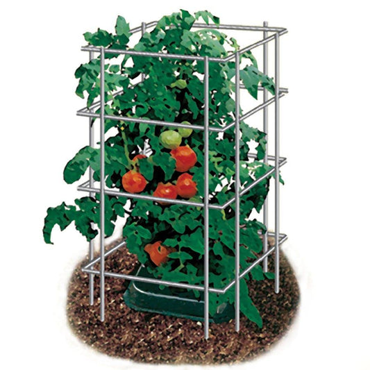 Park Seed Tomato Cages – 47" Tall Heavy-Duty Plant Supports for Tomatoes, Peppers, Cucumbers, and Climbing Vegetables, Foldable Metal Garden Trellis, Pack of 3 - size: 47" (3Pack)
