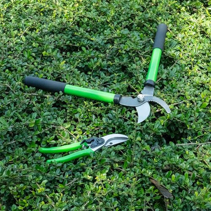 Pro Pruning Shears - Heavy Duty Garden Shears with SK-5 Steel Blades, Ergonomic Non-Slip Handle Tree Branch Cutter & Flower Arranging Tool