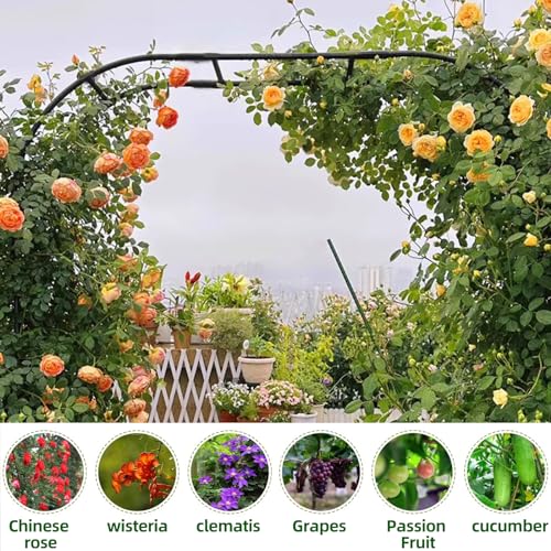 BUKLIYN Garden Arch Trellis - Garden Arch Size Length: 59in Height: 94.5in - color: Length: 59in-Black, size: Arch