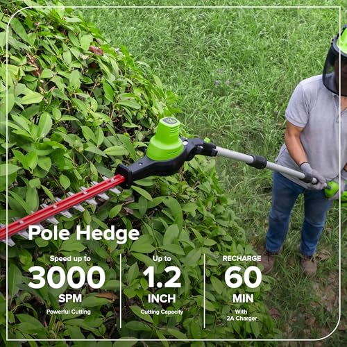 Greenworks 24V 8 in Pole Saw Hedge Trimmer Kit, 2.0 Ah Battery and Charger - size: 8" Combo (2.0Ah), style: 3-Section Polesaw